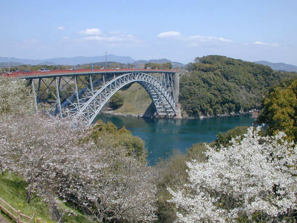 ���C���̂�����