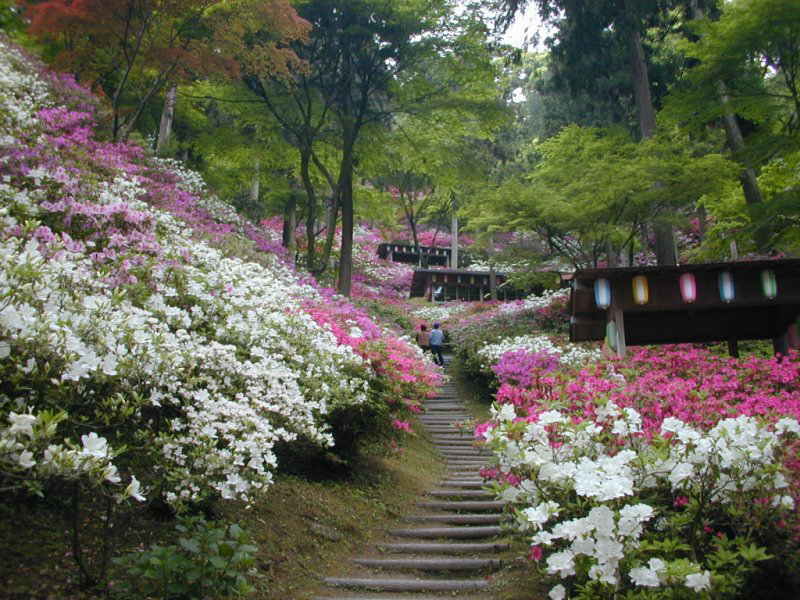 �勻�P������