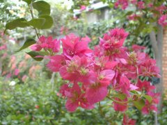 �����A�����ް�����ڱ