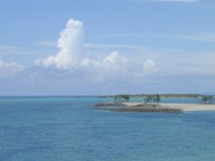 ����̊C�E��